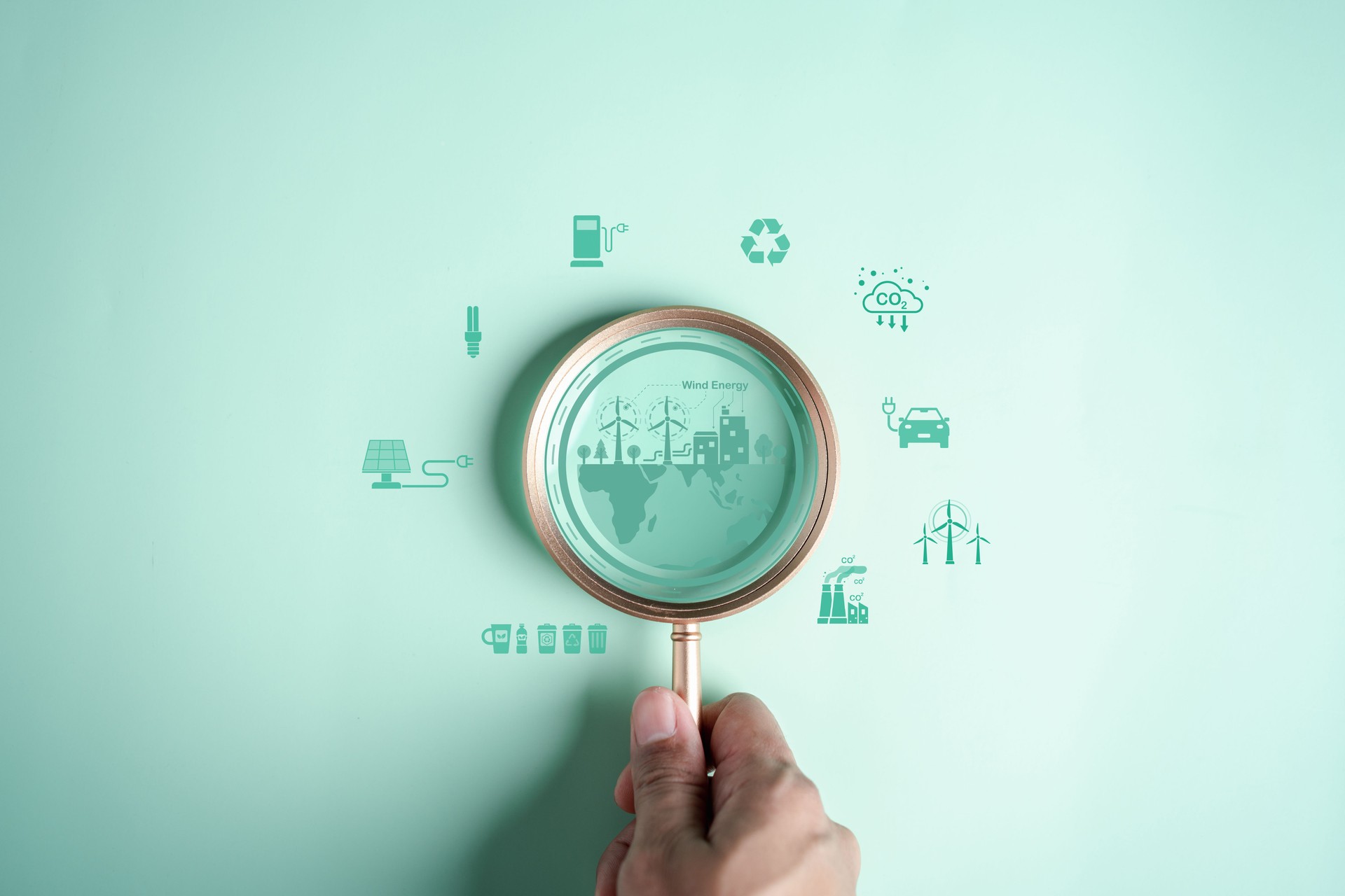 Plexus Consulting 